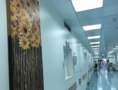 لوحات تشكيلية لاستشفاء المرضى في الإمارات