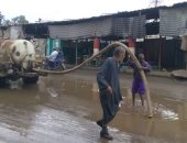 صور.. رئيس مدينة منوف: دفعنا بسيارات شفط لرفع مياه الأمطار بالشوارع