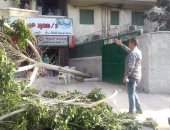 طقس الخميس فى الإسكندرية .. عاصفة هوائية ورياح تؤدى الى سقوط شجرة 