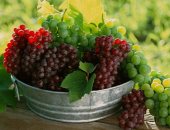  لماذا يحب العرب فاكهة "العنب" فى الدنيا وفى الآخرة؟