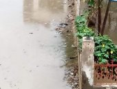 قارئ يشكو من انتشار مياه الصرف الصحى بقرية الغنيمى مركز قلين كفر الشيخ