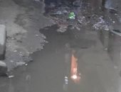 قارئ يشكو من وجود كسر بماسورة المياه بشارع حسن المأمون بمدينة نصر
