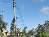 قارئ يشكو من قطع أسلاك الكهرباء بقرية المستعمرة الغربية بالدقهلية