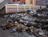 شكوى ممن تراكم القمامة فى قرية الحمام بمحافظة دمنهور