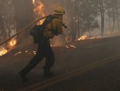 استمرار حرائق الغابات فى كاليفورنيا بالولايات المتحدة وإخلاء 180 ألف شخص