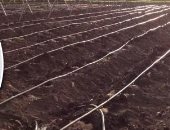 مصر على طريق الرى الحديث.. رئيس الوزراء يتابع جهود التطوير ‪ بالوادى والدلتا.. المنظومة تسهم فى زيادة إنتاجية الزراعة وتحسن نوعية المنتج.. مصطفى مدبولى: ترشد هدر المياه فى الغمر وتوفر مياها للشرب