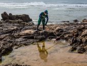 تواصل عمليات إزالة البقع النفطية من شواطئ البرازيل ..صور