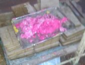 ضبط 550 كيلو فول بها فطريات داخل مصنع لحلوى المولد بجرجا سوهاج