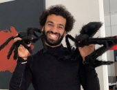 شاهد كيف احتفل محمد صلاح بالهالوين؟