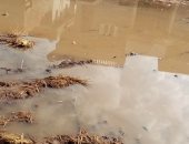 استمرار معاناة الأهالى من  انتشار مياه الصرف الصحى بعزبه ابوبسيوني بالمحلة