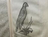 شاهد.. كتاب يرصد التاريخ الطبيعى للطيور عمره 464 عاما.. اعرف ثمنه