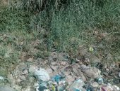 شكوى من انتشار القمامة بقرية الحيبة فى بنى سويف