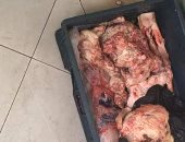 ضبط لحوم مصنعة وأسماك غير صالحة للاستهلاك الآدمى بدمياط 