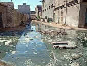 شكوى من انتشار مياه الصرف الصحى بنجع عبد الرواف الإسكندرية
