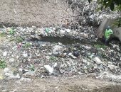 قارئ يشكو من انتشار القمامة والأوبئة فى قرية الكفر الجديد بالبحيرة