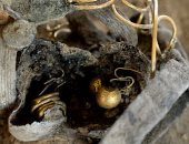  اعرف حكاية الخاتم الذهبى المكتشف فى بريطانيا البالغ عمره 1700 عام