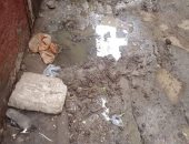 شكوى من سوء حالة الصرف الصحى بقرية قورص أشمون فى المنوفية