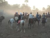 شاهد سباقات الخيول فى قرى الأقصر احتفالا بالمولد النبوى الشريف