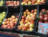 صور.. أسواق مطروح تشهد انخفاض أسعار اللحوم والخضراوات والفاكهة