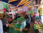 صور.. تعرف على أسعار الخضروات والفواكه والبقوليات بأسواق محافظة الغربية