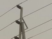 شركة كهرباء جنوب الدلتا تستجيب لشكوى قرية كوم الضبع بالمنوفية
