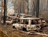 صور.. أستراليا تعلن الطوارئ فى الساحل الشرقى بسبب حرائق الغابات