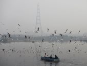 الهند تكافح للبقاء أمام الحرارة الشديدة وتسجل مليون وفاة بسبب الضباب الدخانى