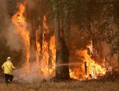 رجال إطفاء فى استراليا: حريق الغابات الضخم قرب سيدنى ربما يستمر لأسابيع