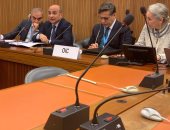 صور .. عمر مروان يلتقى المجموعات الأفريقية و العربية لشرح ملف مصر الحقوقى 