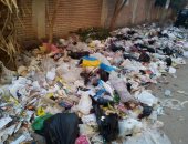 شكوى من انتشار القمامة أمام مدرسة بشبين الكوم 