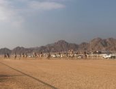 انطلاق فعاليات سباق الهجن بشرم الشيخ برعاية الإمارات.. صور