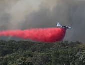 أستراليا.. حرائق الغابات تدمر أكثر من 270 منزلا و2.5 مليون فدان