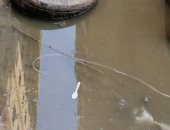 شكوى من وجود ماسورة مياه مكسورة بمنطقة التعاون فيصل