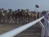سكاى نيوز تسلط الضوء على المهرجان الثاني لسباقات الهجن فى شرم الشيخ 