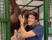 فيديو.. قرد يتعلق بلاعب تشيلسى ويقبله فى حديقة حيوانات بالإمارات