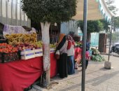 تعرف على أسعار الخضروات والفاكهة والبقوليات بأسواق محافظة الغربية