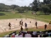 القردة تهاجم طلاب يلعبون كرة السلة...فيديو