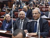 صور.. مطالب برلمانية بخطة شاملة لـ3 وزارات لمواجهة أزمة الأمطار والتغيرات المناخية