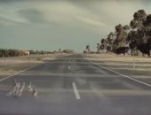 نظام القيادة الآلية بسيارة تسلا ينقذ مجموعة "بط" من الدهس.. فيديو