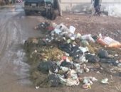 قارئ يشكو من فرض رسوم على زراعة الأشجار وأخرى للنظافة بكفر الشيخ