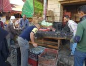 صور .. حملات مكبرة للتصدى لإشغالات الطريق بأحياء المنتزة ووسط الإسكندرية 