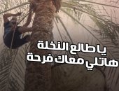 فيديو.."يا طالع النخلة هاتلي معاك فرحة".. حكايات جامعين البلح