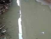 شكوى من انتشار مياه الصرف الصحى بشارع المصطفى بمنطقة بشتيل