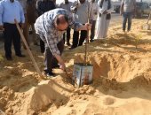 محافظ الفيوم يشارك فى غرس 1000 شجرة لتجميل شاطئ بحيرة قارون.. صور