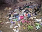 قارئ يشكو من تراكم القمامة بقرية بهناى بالباجور محافظة المنوفية