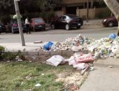 شكوى من انتشار القمامة بالحى السابع مدينة نصر