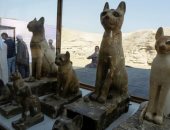 الجارديان تبرز اكتشاف سقارة النادر: يعكس اهتمام قدماء المصريين بالحيوانات