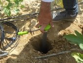 وفد من البنك الأفريقى يزور مشروع تقييم ورصد الآبار الجوفية فى وادى النطرون