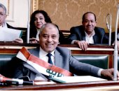 عضو "خطة البرلمان": آفاق الاستثمار تهب على قارة إفريقيا بقيادة مصر
