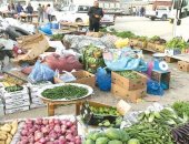 القارئ يحيي السيد النجار يكتب : رؤى دمياطية 